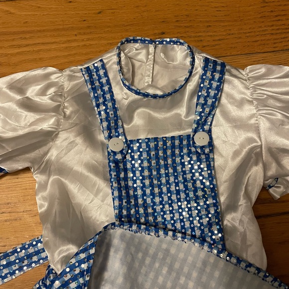 Girls size 8 10 Dorothy Wizard of Oz costume - Picture 4 of 6